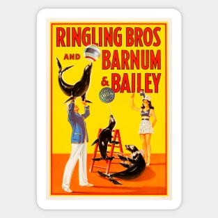 Ringling Bros Barnum & Bailey CIRCUS ACROBATIC SEA LIONS and TRICKS Vintage American Sticker